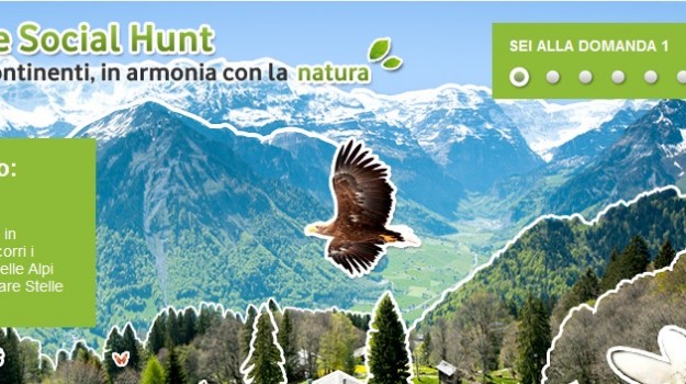 Vodafone Special Hunt