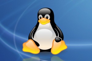 Come scaricare Torrent su Linux