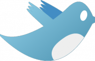 Twitter, un bug cancella i nostri followers