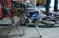 HyQ, il cane robot italiano per le situazioni pericolose