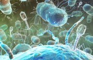 Il Mac, antivirus validi e protezione