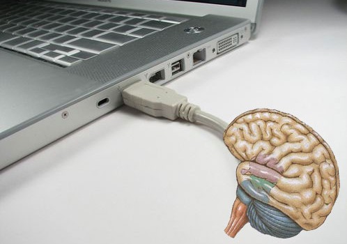 PC Cervello
