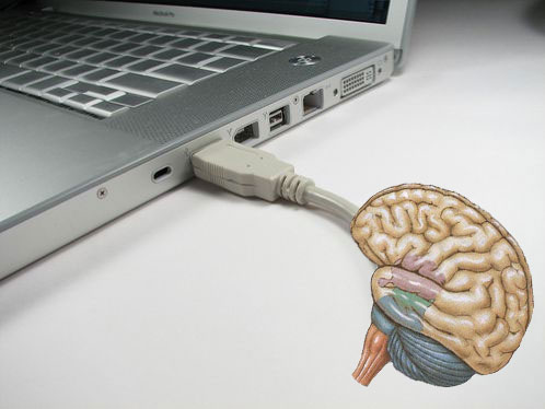 PC Cervello