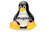 Puglia pinguino open source
