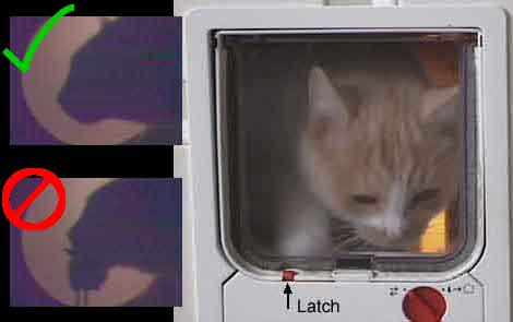 c-facial-recognition-cat-door