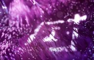 OnePlus 7 non avrà il 5G, intanto arriva il OnePlus 6T viola